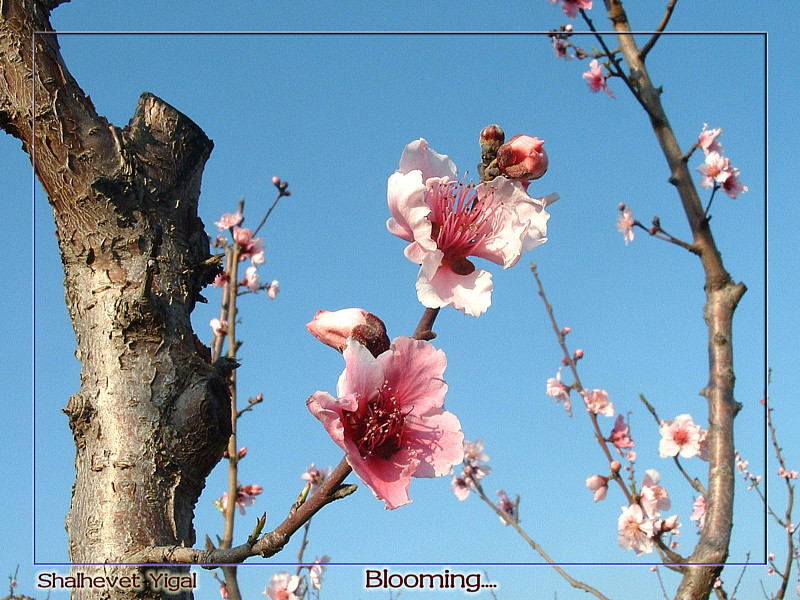 林 迎 | 塞北雄風在 大漠永留芳 ——粵蒙作家千里邊防行拾萃