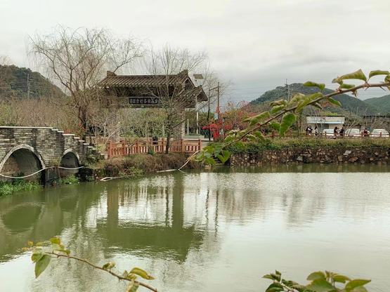 1552549314379698.jpg 05.jpg